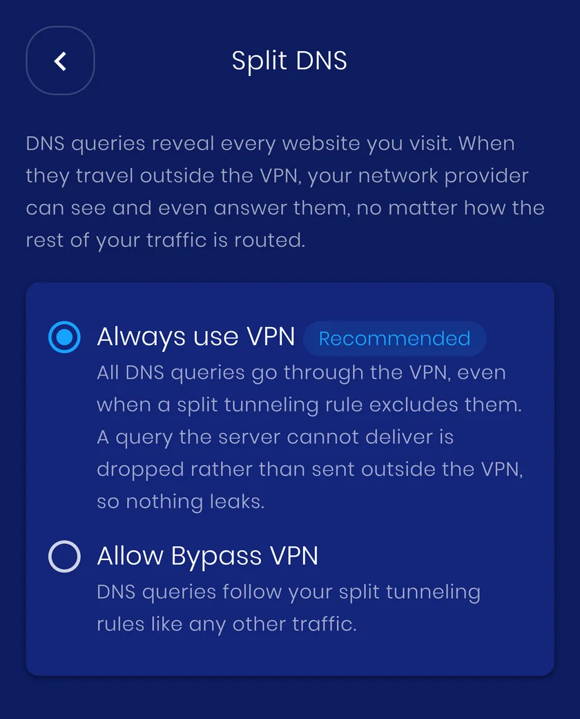 The Split DNS screen in the VpnHood! app, showing the Always use VPN and Allow Bypass VPN options